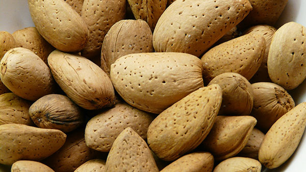 mandorle-con-guscio